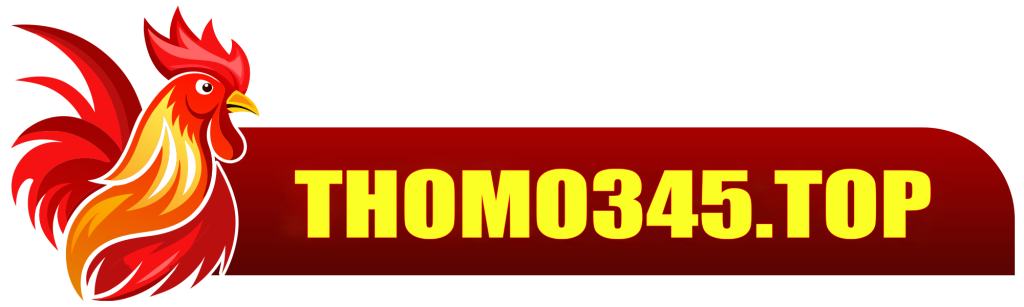 thomo345.top